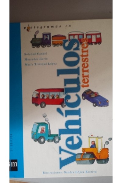 PICTOGRAMAS EN VEHICULOS TERRESTRES